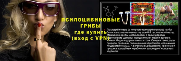 молекула духа Зеленокумск