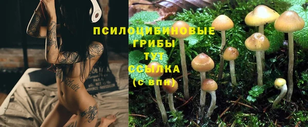 молекула духа Зеленокумск